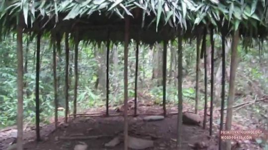 【原始技术合集】澳洲小哥徒手建造  8、两年前盖的小屋