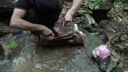 【丛林生存】49. 熏肉