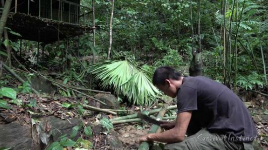 【丛林生存】43. 完成小屋和储存木柴