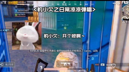 我叫豹小欠