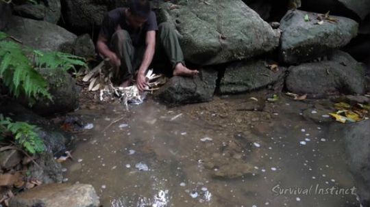 【丛林生存】45. 如何利用有毒植物捕鱼