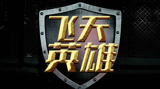 飞天英雄世界格斗王者争霸赛发布会