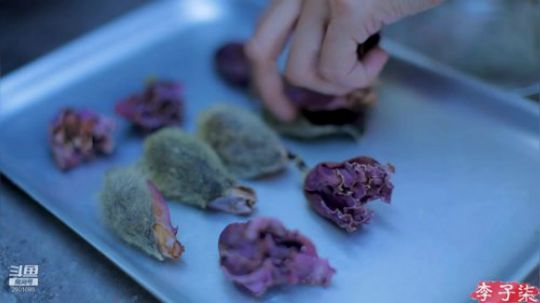 哆啦爱梦梦发布了一个斗鱼视频2019-10-26