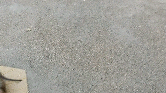 饿。。。饿( •̥́ ˍ •̀ू )
