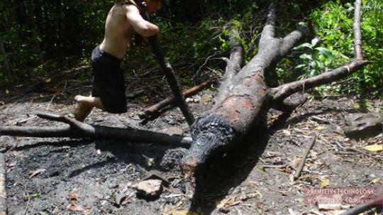 【原始技术合集】澳洲小哥徒手建造   24、栽培木薯和大薯