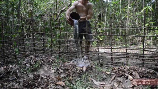 【原始技术合集】澳洲小哥徒手建造  17、甘薯田的收获