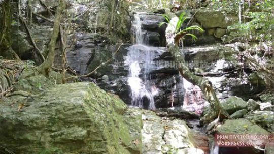 【原始技术合集】澳洲小哥徒手建造  22、捕虾笼