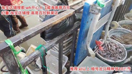 西北老狼哥哥发布了一个斗鱼视频2019-10-27