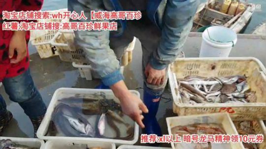 西北老狼哥哥发布了一个斗鱼视频2019-10-27