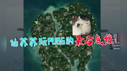 【仙某某】仙苏苏曝自己吃鸡的最后底线？没想到下一秒就成了自己看不起的人