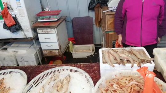 西北老狼哥哥发布了一个斗鱼视频2019-10-29