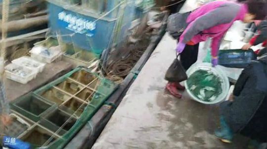 哆啦爱梦梦发布了一个斗鱼视频2019-10-29