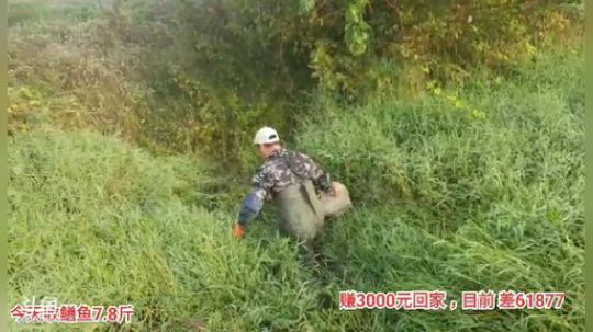 我在斗鱼看超哥户外打野直播户外