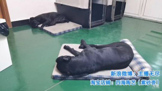 我在斗鱼看无尽无尽的无尽直播美食
