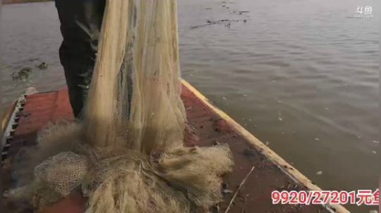 科头溜子发布了一个斗鱼视频2019-10-29