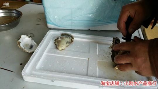 【金牌带货王】今晚吃点啥？ 2019-10-29 14点场