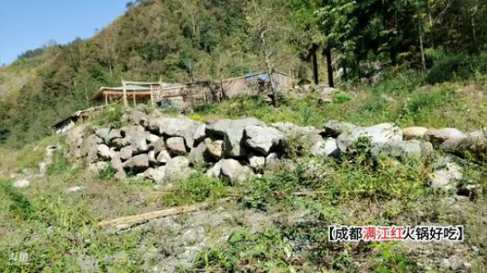 光头又废了(≧ω≦)/ 2019-10-29 14点场