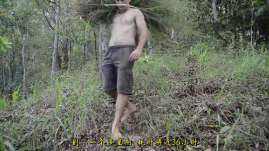 【原始技术合集】澳洲小哥徒手建造  43、草顶泥墙工作间