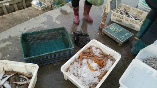 哆啦爱梦梦发布了一个斗鱼视频2019-10-29