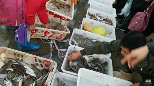 【金牌带货王】今晚吃点啥？ 2019-10-29 16点场