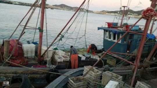 哆啦爱梦梦发布了一个斗鱼视频2019-10-29