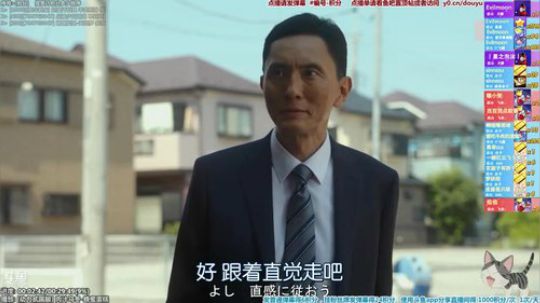 我在斗鱼看懒猫是只喵直播一起看