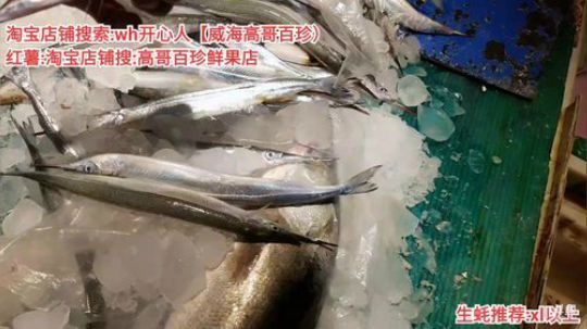 西北老狼哥哥发布了一个斗鱼视频2019-10-30