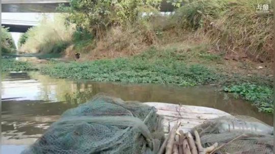 9点半至10点之间开播 2019-10-29 15点场