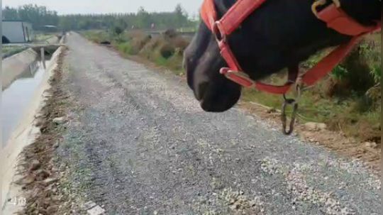 9点半至10点之间开播 2019-10-29 11点场