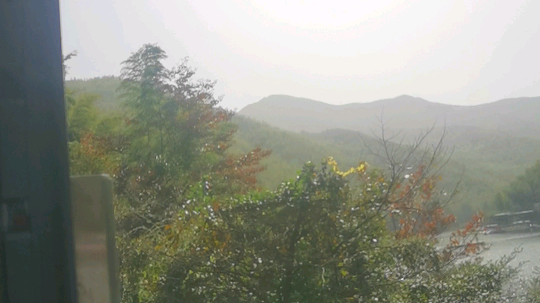 1喵子发布了一个斗鱼视频2019-10-30