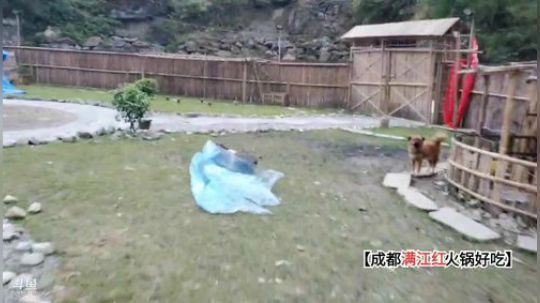 修建基地(≧ω≦)/ 2019-10-30 16点场