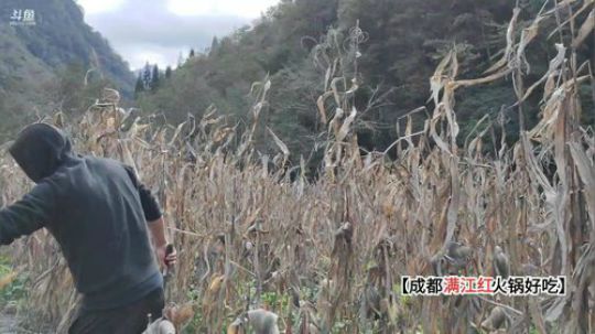 修建基地(≧ω≦)/ 2019-10-30 14点场