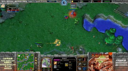 我在斗鱼看大帝LioN直播魔兽争霸