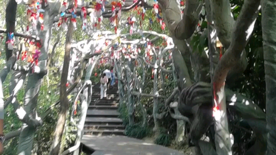 1喵子发布了一个斗鱼视频2019-10-31