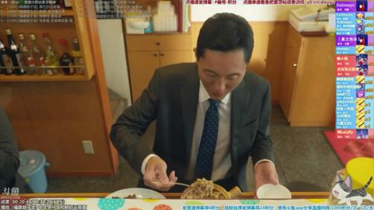 我在斗鱼看懒猫是只喵直播一起看
