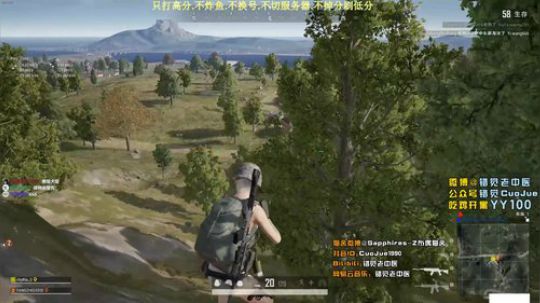 【错觉】双排11杀吃鸡