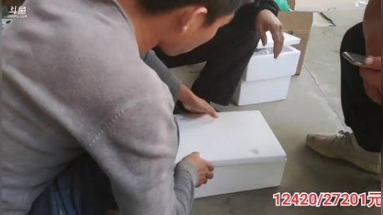 丿Good丶发布了一个斗鱼视频2019-10-31