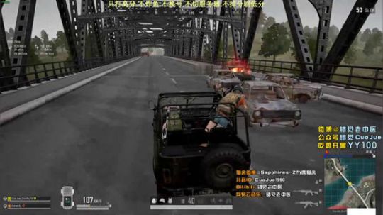 【错觉】双排10杀