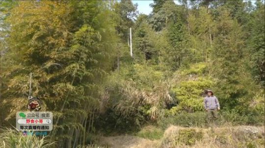 哆啦爱梦梦发布了一个斗鱼视频2019-11-01