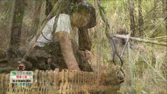 哆啦爱梦梦发布了一个斗鱼视频2019-11-01