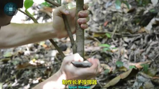 原始科技第49弹：澳洲小哥四年工作汇报总结