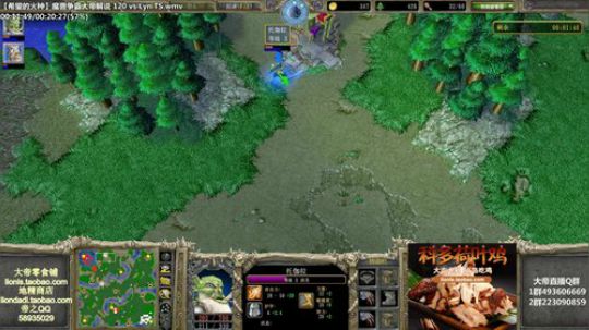 我在斗鱼看大帝LioN直播魔兽争霸