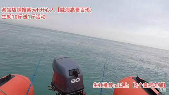 西北老狼哥哥发布了一个斗鱼视频2019-11-02