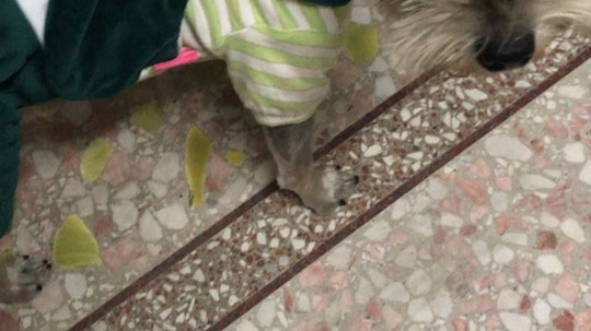 普通话很包准的龟发布了一个斗鱼视频2019-11-02