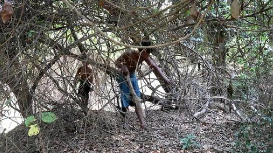 【躺尸兄弟】从土里寻找食物 土豆