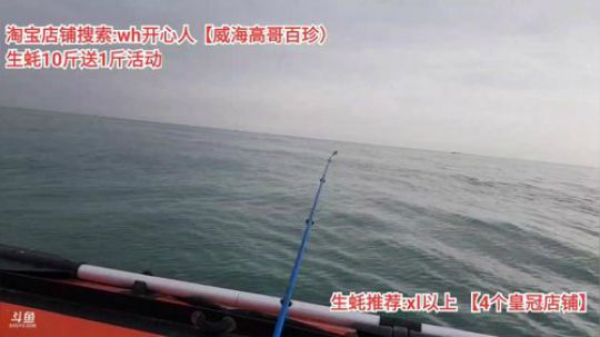 西北老狼哥哥发布了一个斗鱼视频2019-11-02