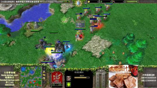 我在斗鱼看大帝LioN直播魔兽争霸