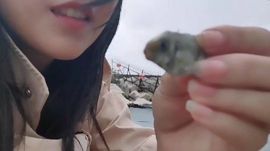 土耳其 第一次海钓 主动来碰瓷的鱼