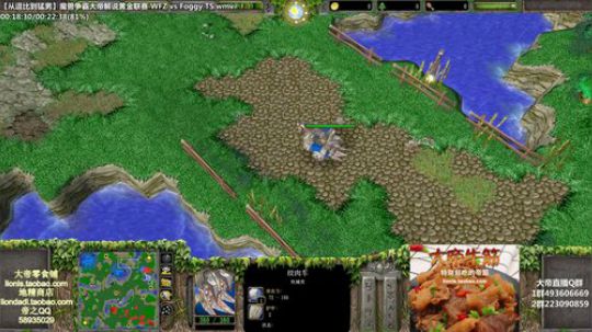 我在斗鱼看大帝LioN直播魔兽争霸