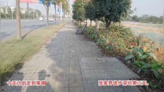 魅力徒步深圳第三天。 2019-11-03 14点场